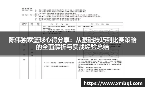 陈伟独家篮球心得分享：从基础技巧到比赛策略的全面解析与实战经验总结